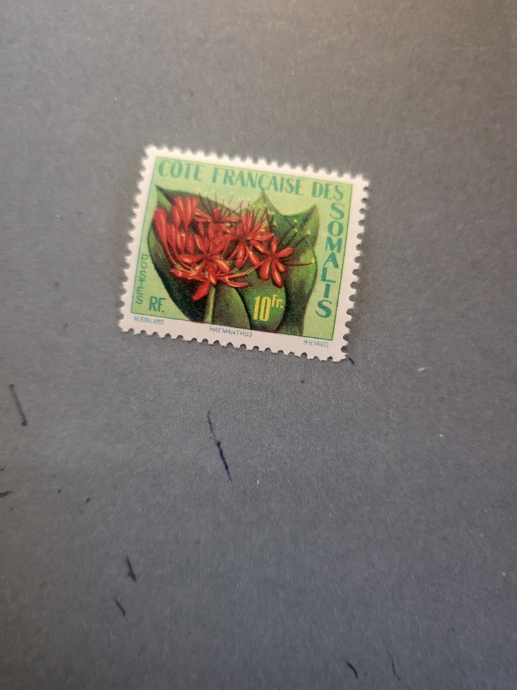 Stamps Somali Coast Scott #270 never hinged