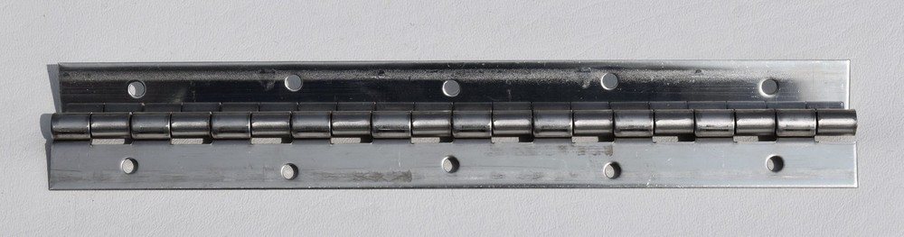 802934 HINGE DOOR OEM