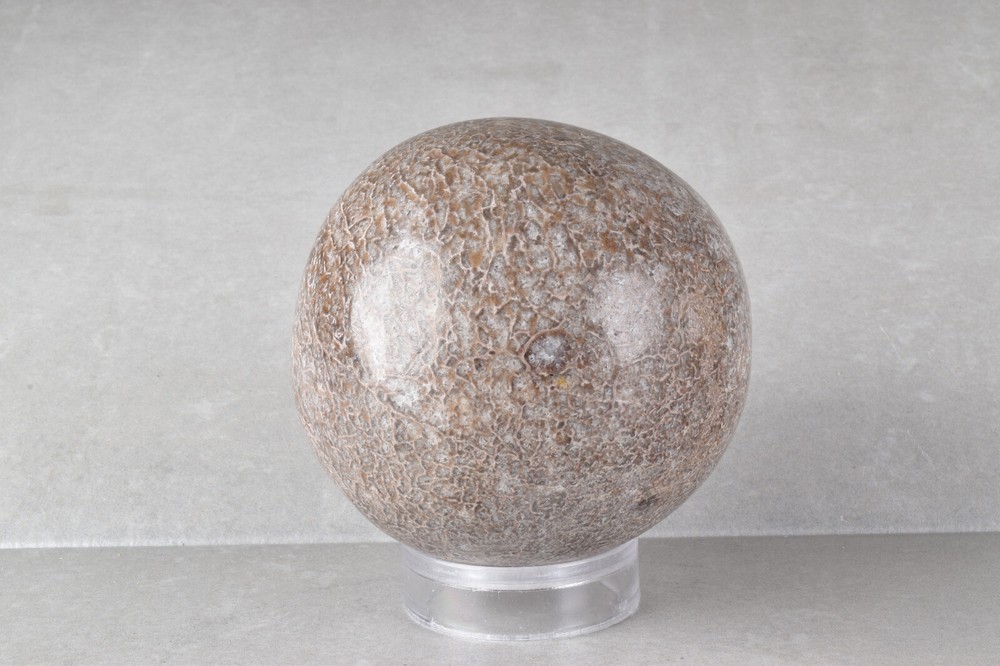 Large Dinosaur Bone Sphere from Morocco 7.7 cm # 21479