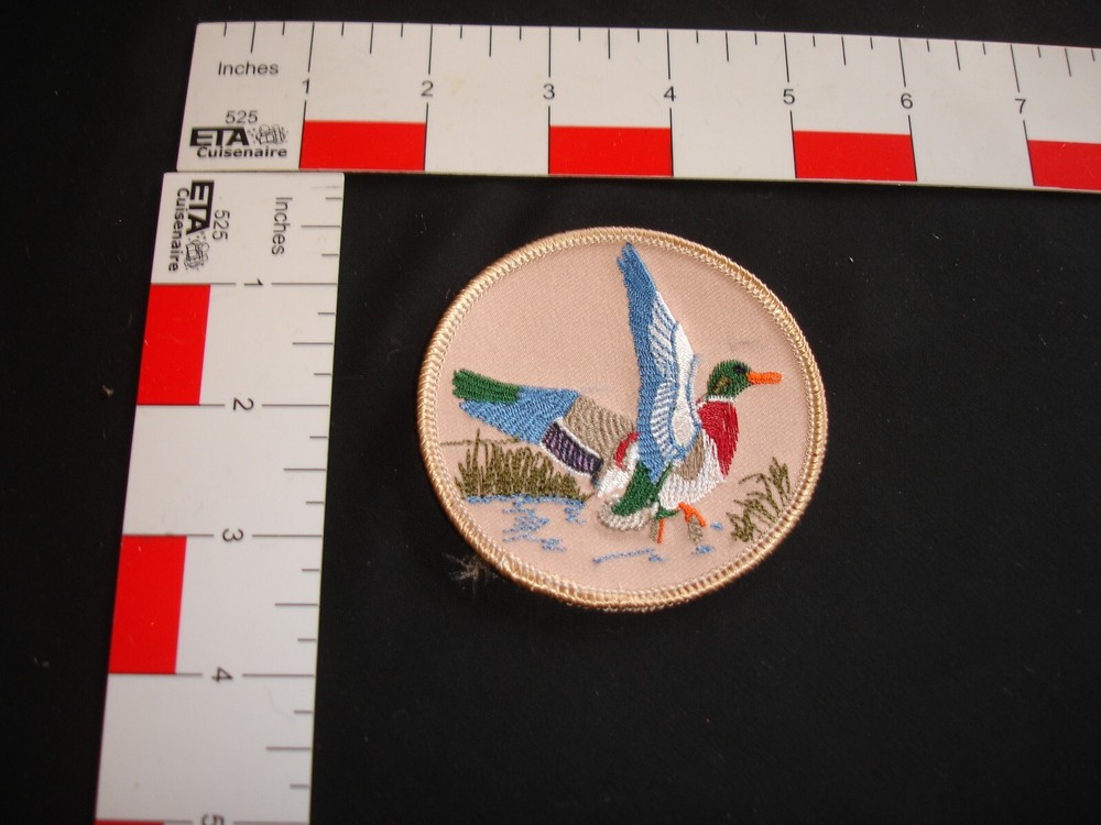Hunting Patch Duck