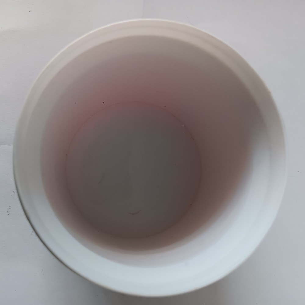 The Wet Cell Electrical Energy-Scientific Method Kit- with Galvanometer