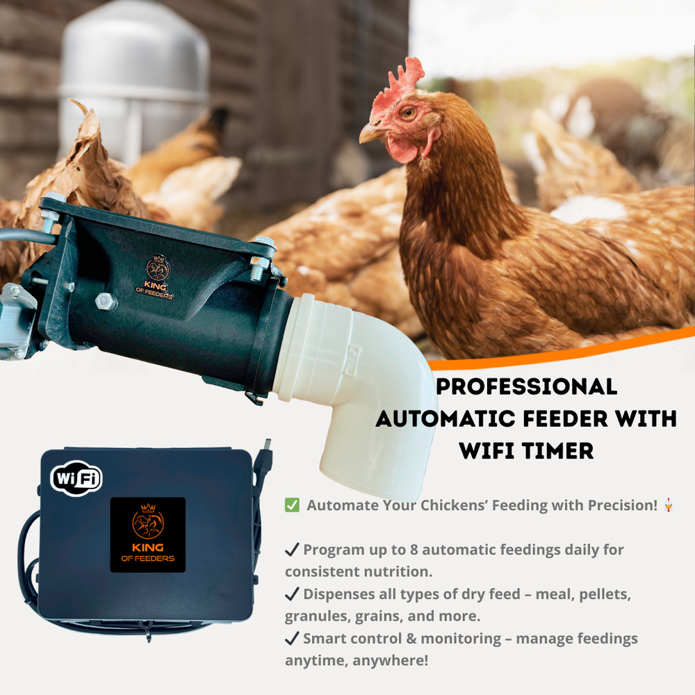 WiFi Automatic Feeder for Chickens – Smart Food Dispenser with Timer Control
