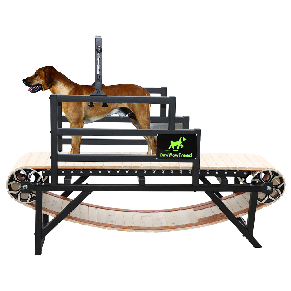 Dog Treadmill Suitable for Medium and Large Dogs