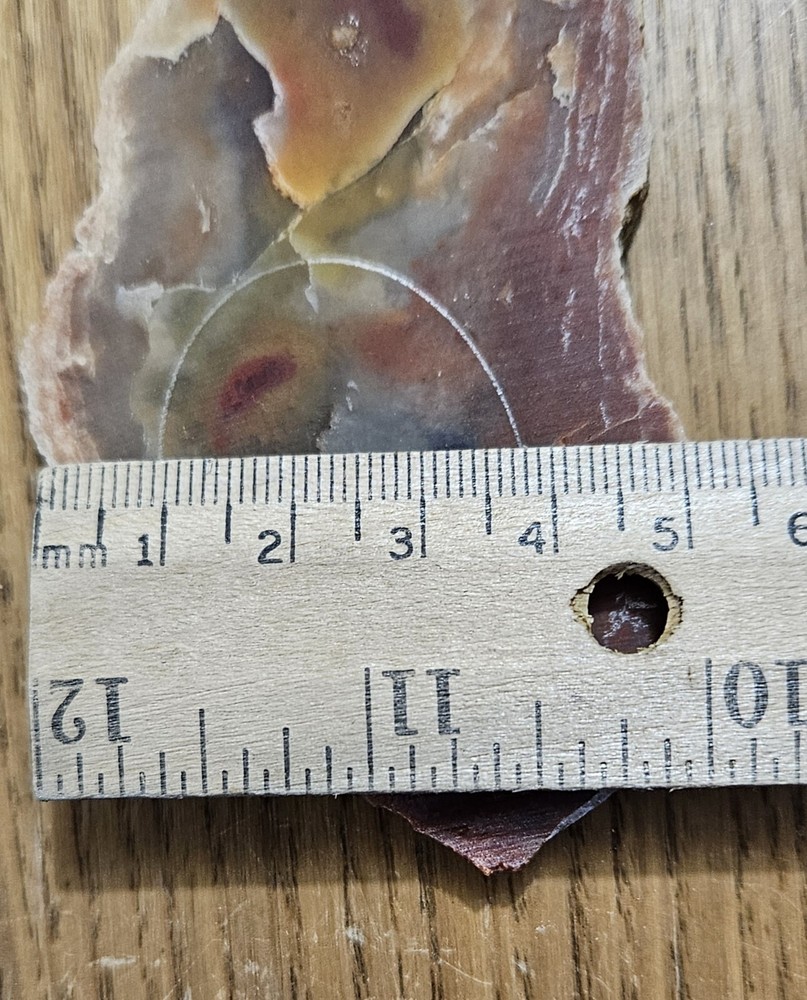 Rainbow Ridge Ledge Jasper Agate California 64 Grams