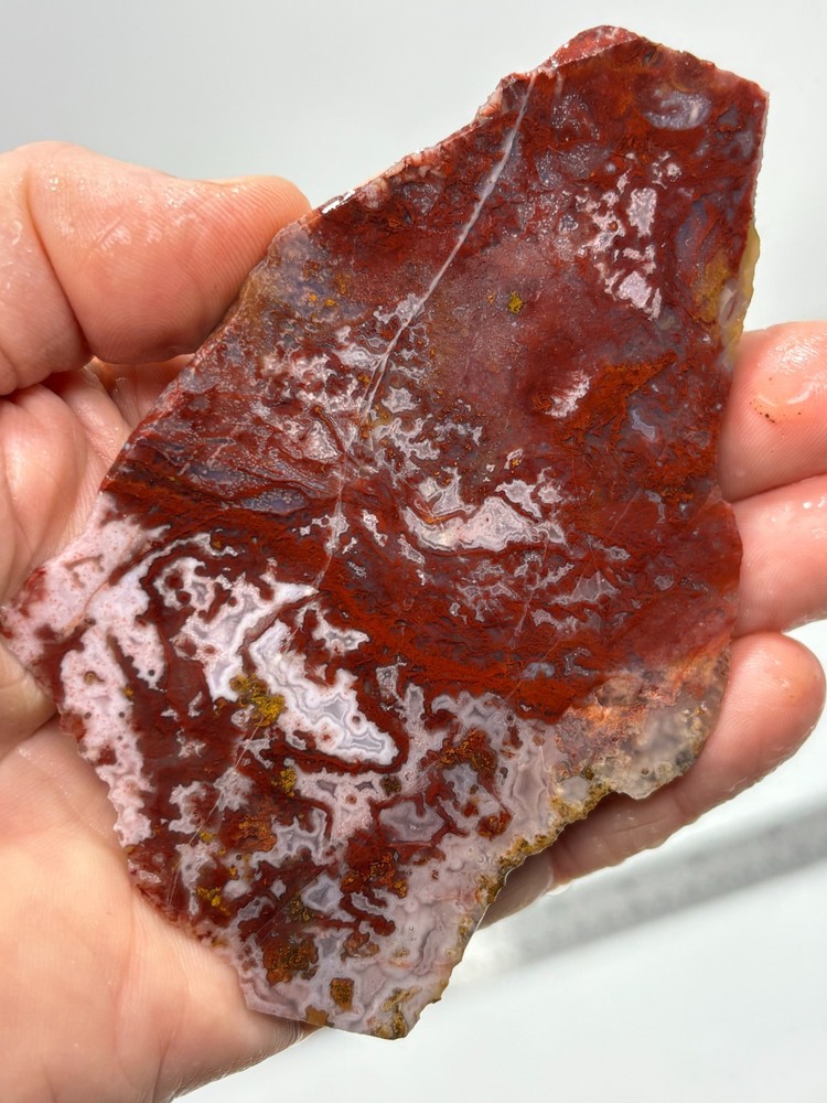 Mexican Red Moss Agate Slabs Lapidary Cabbing Combo Ship Avail