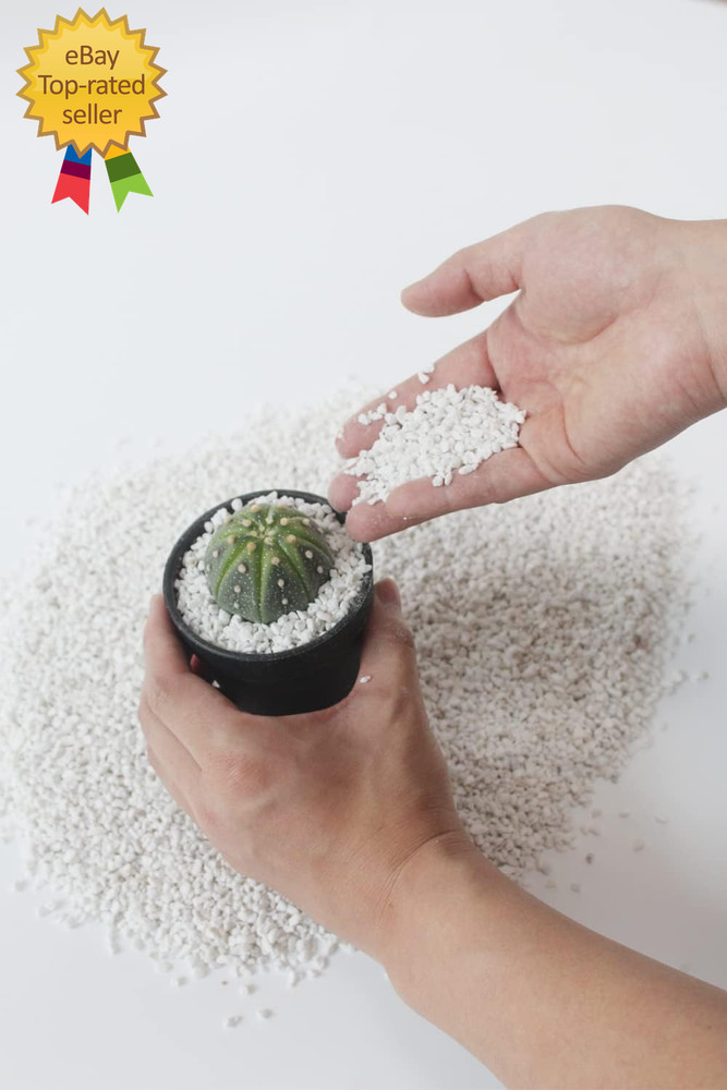 2 Quart Organic Perlite Horticultural Soil Amendment for Plants and Enhanced
