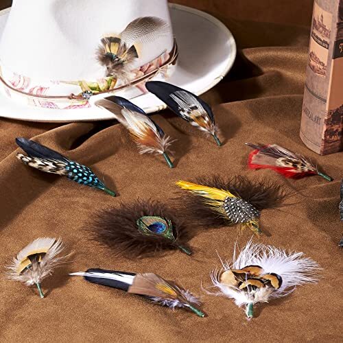 Hat Feathers, Assorted Natural Feather Packs Accessories for Fedora 11 Pcs