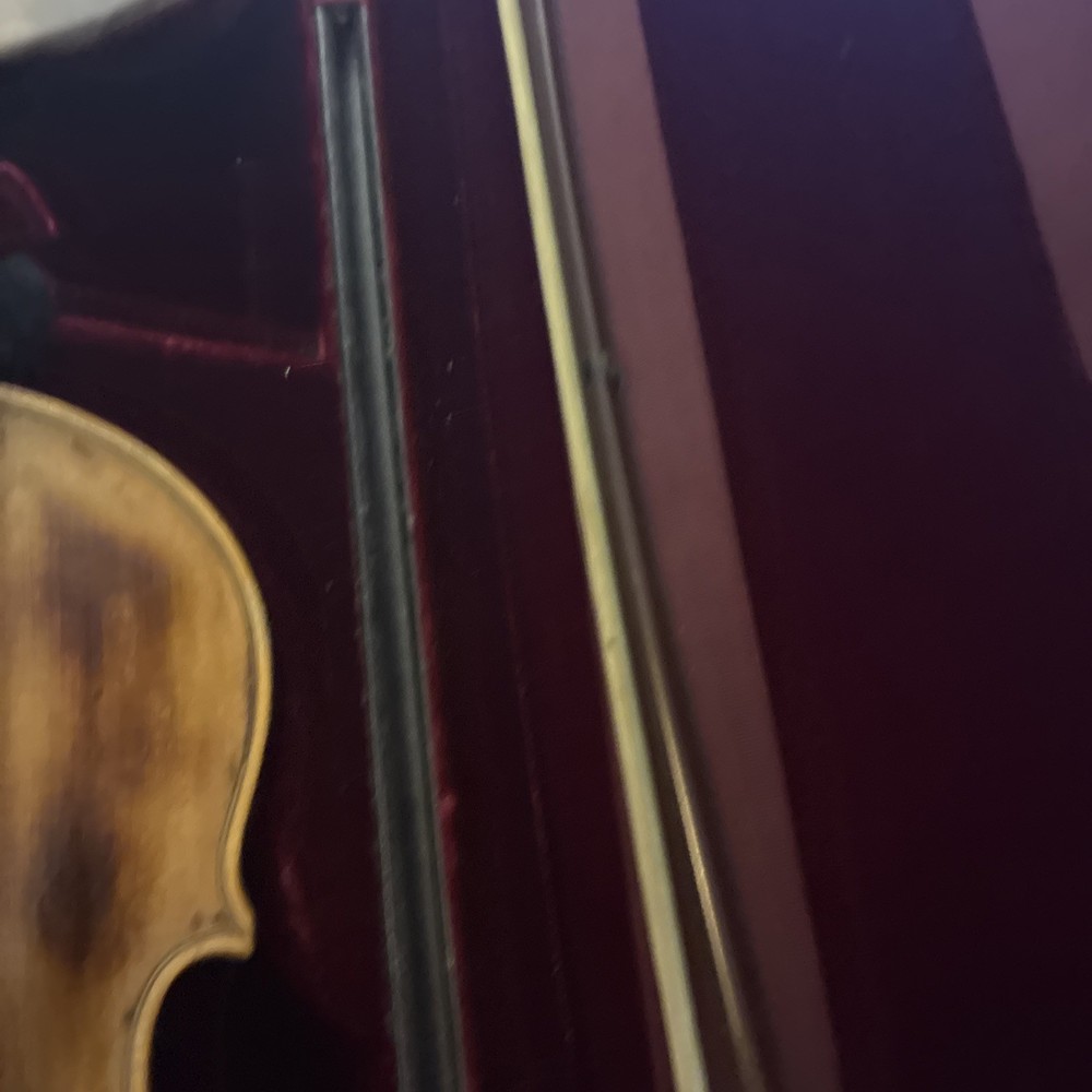 DiPalo 4/4 Violin for Beginner/Advanced Students