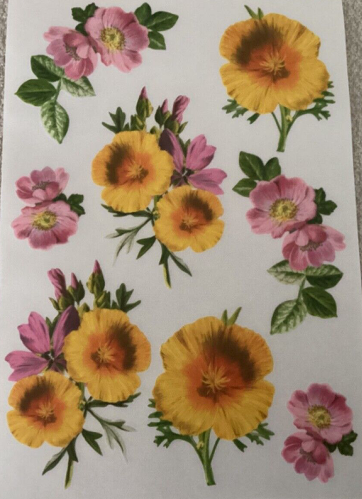 Anna Griffin Flower Rub On Transfer