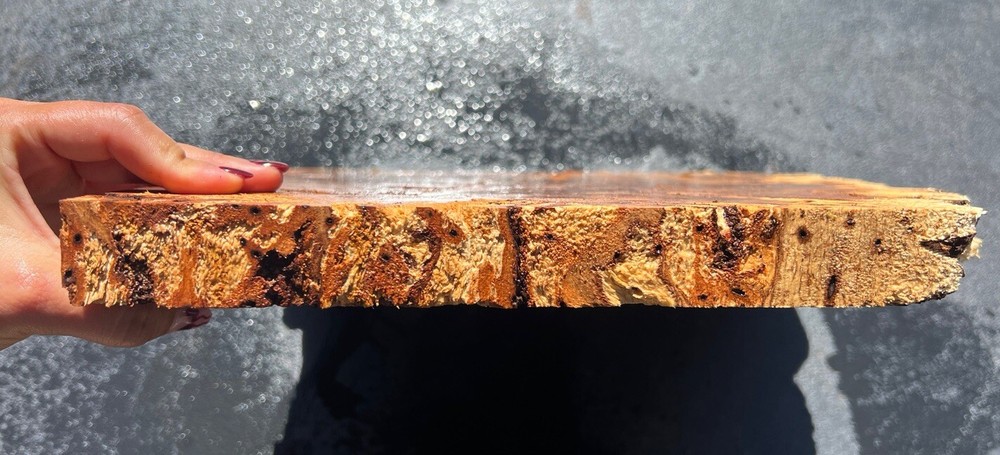 Hawaiian Eucalyptus Dunii Burl Board #14056