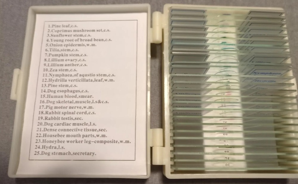 Scope 25 Prepared specimen Microscope Slides Glass with Plastic Box