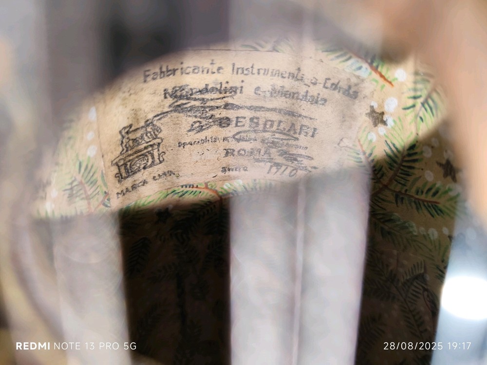 Mandolin Piccolo Giuseppe Cesolari 1910 Rome 曼陀林 만돌린マンドリン