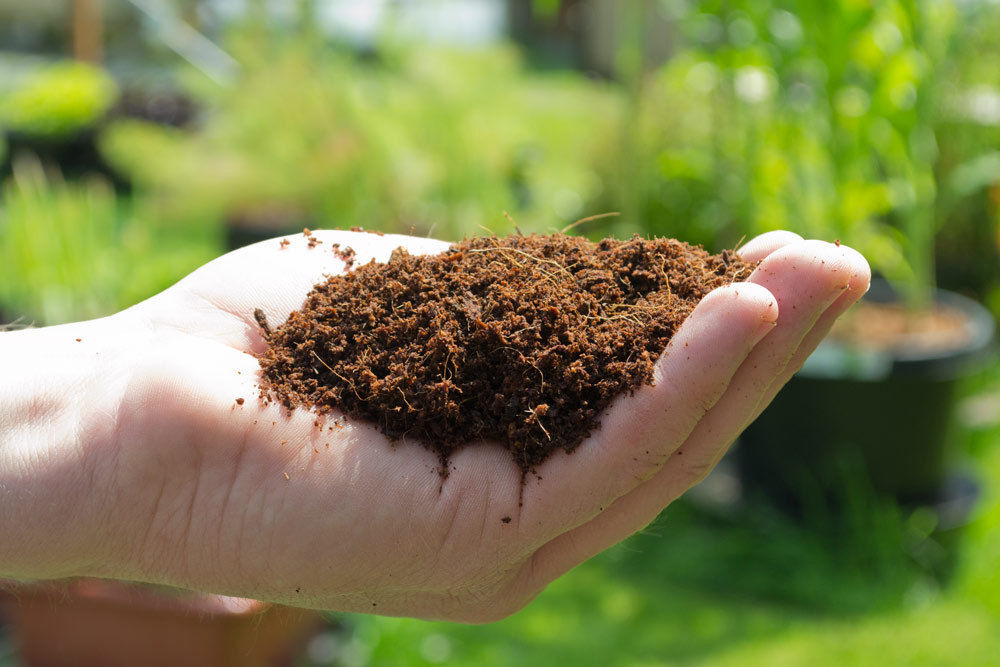 5 X 5kg Bricks (55.5 LBS.) Coconut Coir Coco Coir Soil Amendment Growing Medium