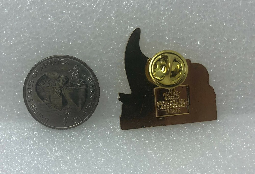 1982 Feeding The Hungry Pin