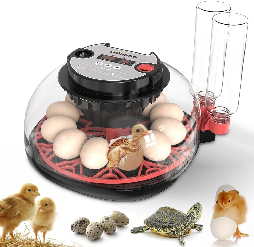 Explore+ 12 Egg Incubator for Beginners, Multi-Level Adaptive Humidity (Auto-Ref