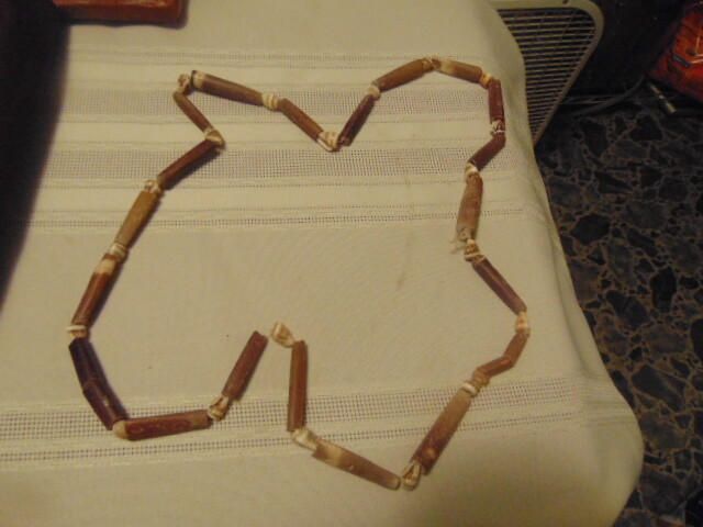Shell String Necklace