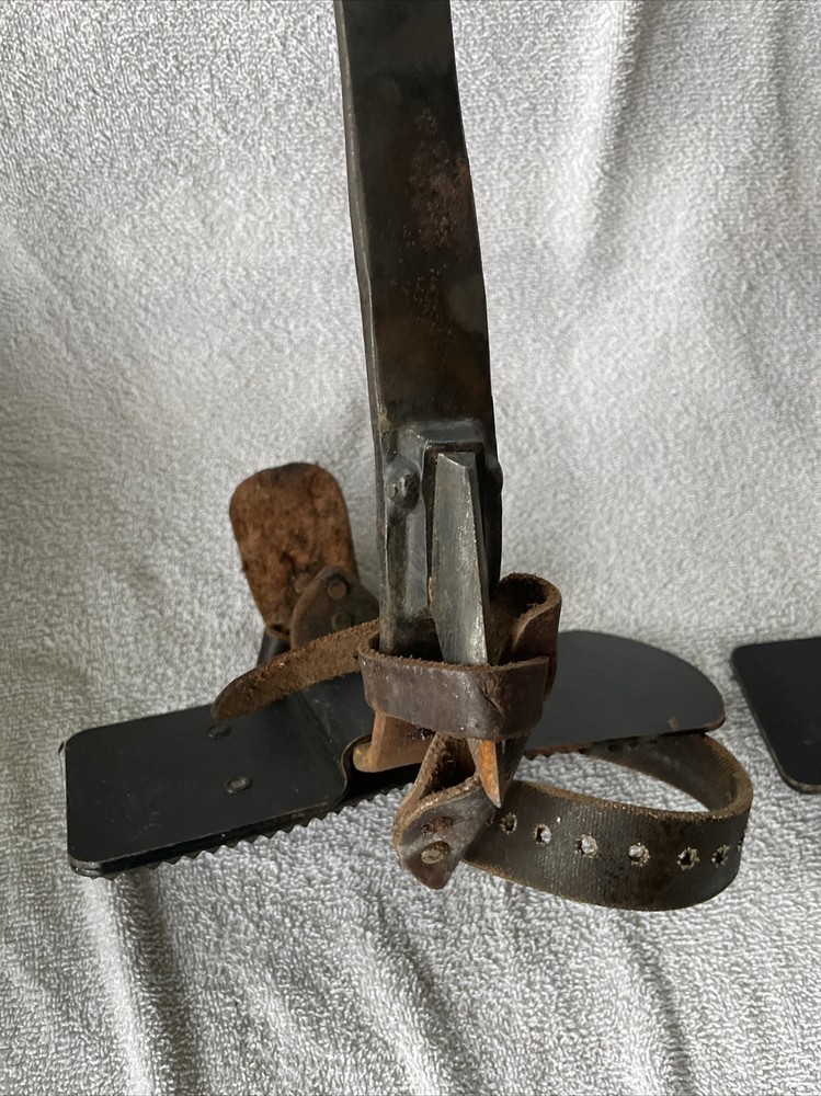 Buckingham Tree Pole Climbing Spike Gaffs (5a)