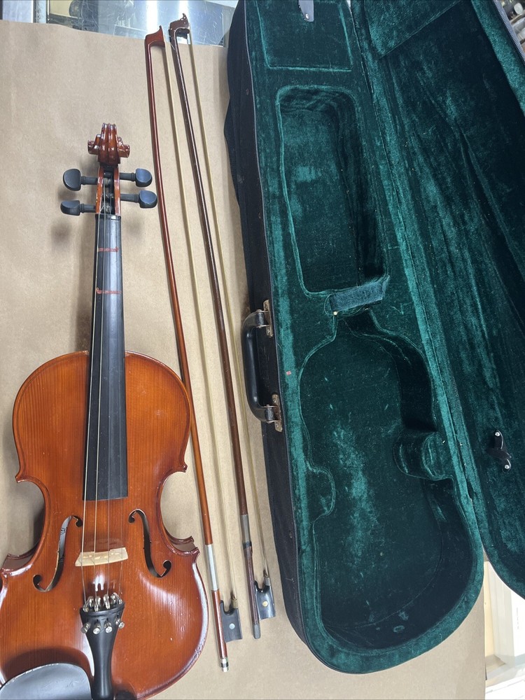 Parrot | Art No. 19 | Violin With Case