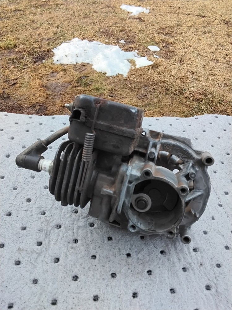 Poulan 23cc PE 550 Edger Engine Powerhead