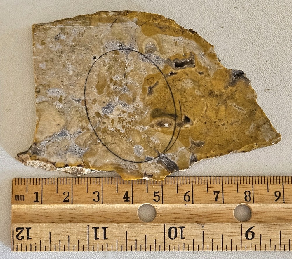 Yellow Jasper Lapidary Slab 49 grams