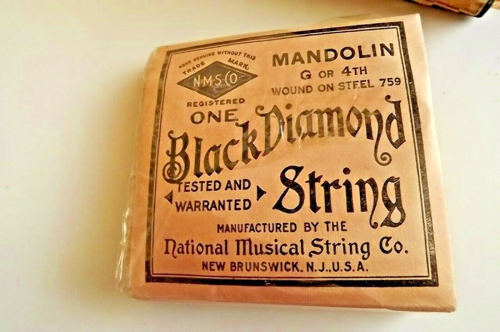 Black Diamond G or 4th Mandolin strings