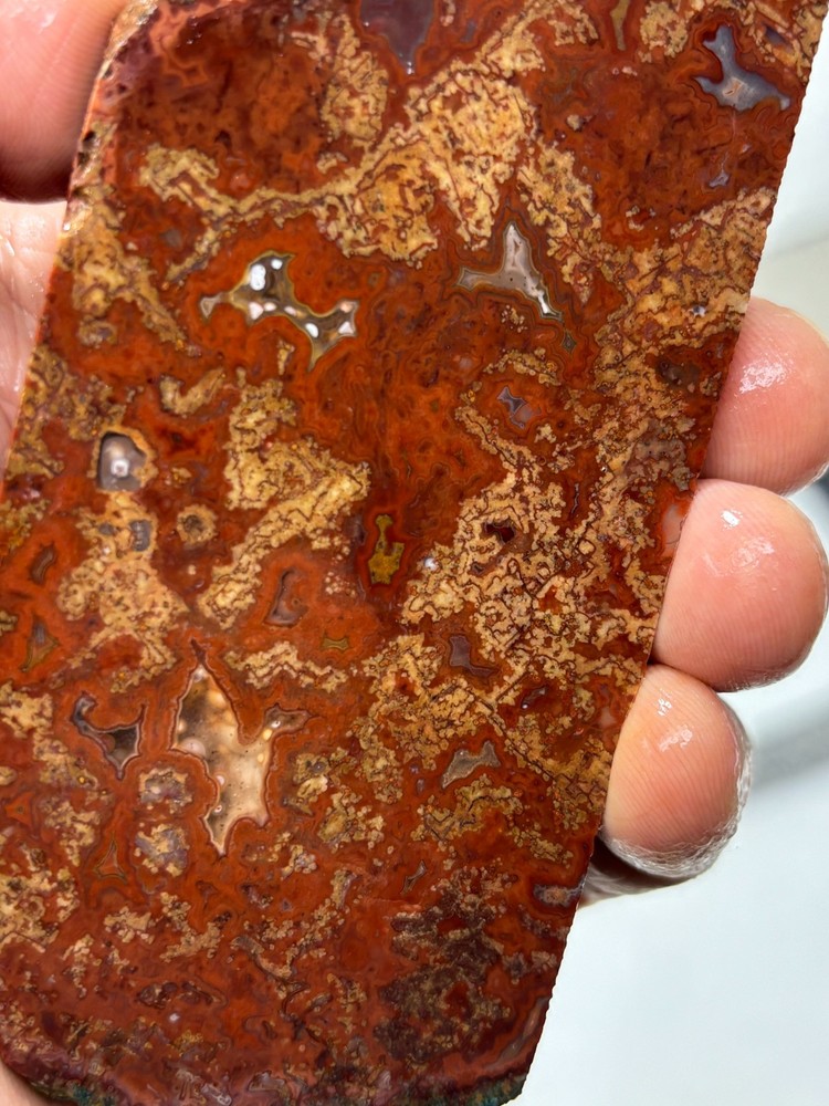 Mexican Red Moss Agate Slabs Lapidary Cabbing Combo Ship Avail