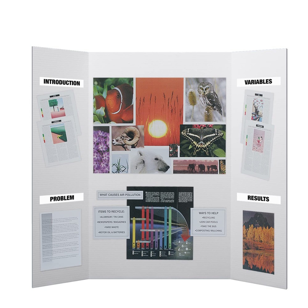 36” x 48” Project Boards for Presentations, Science Fair, School Projects, Ev...