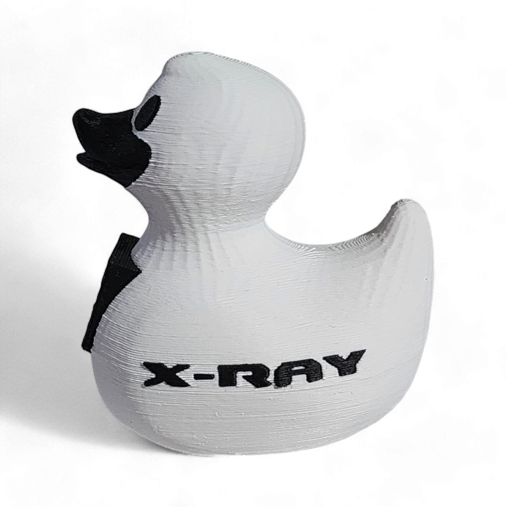 X-Ray Tech Duck