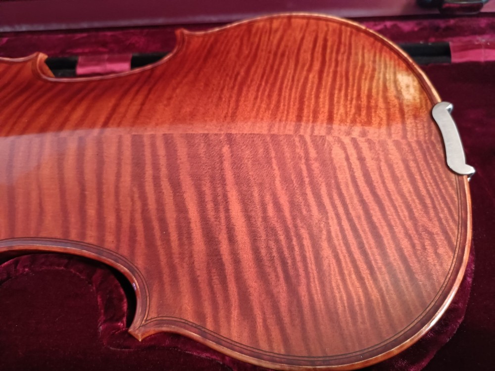 Zeta Acoustic Pro Violin