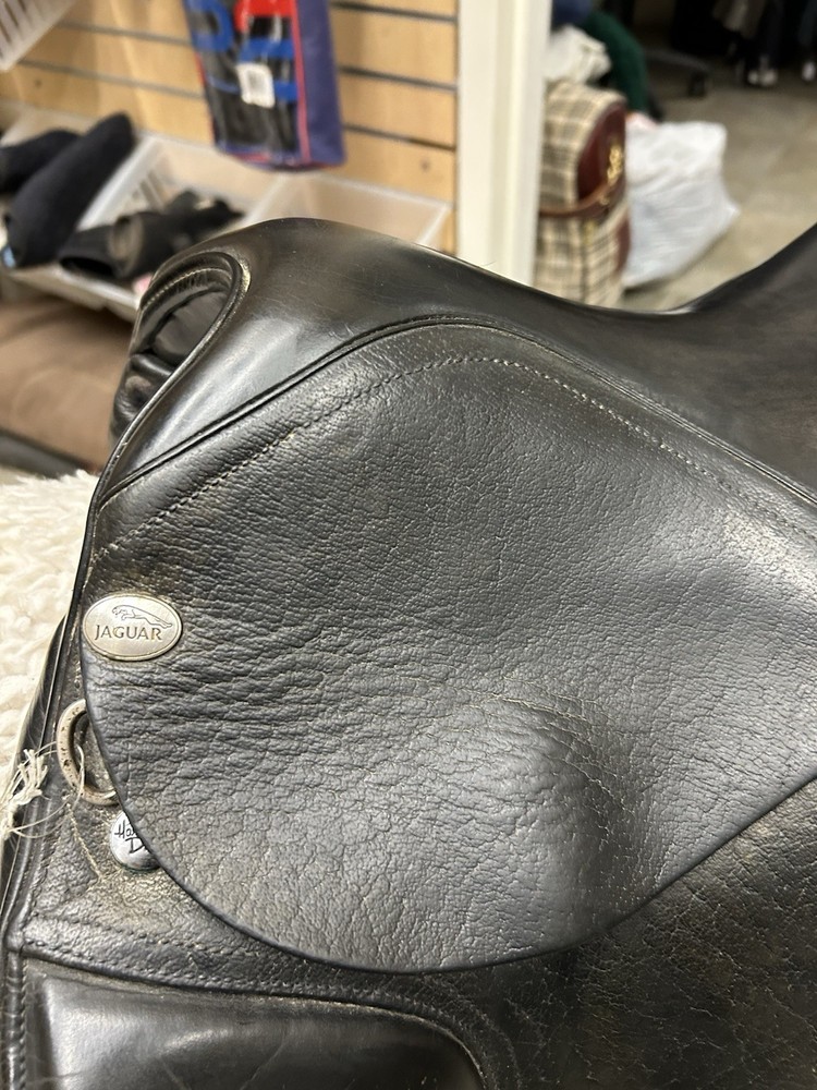 Jaguar Harry Dobbs 17.5 Reg Tree