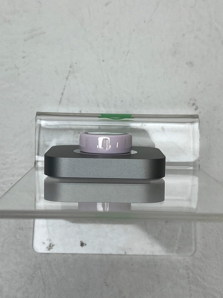 Oura Ring 4 Size 6 Activity Tracker Petal/Rose JZ90-57459-06