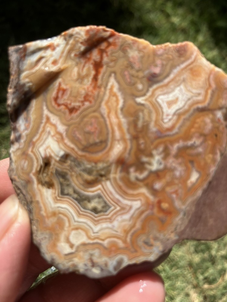 Dryhead Agate Slab (Montana)