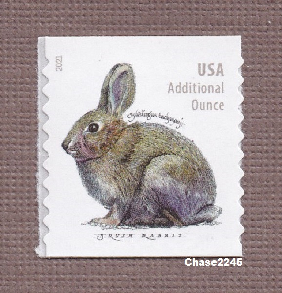 Scott #5545 Brush Rabbit -Additional Oz Rate (Coil Single) 2021 Mint NH