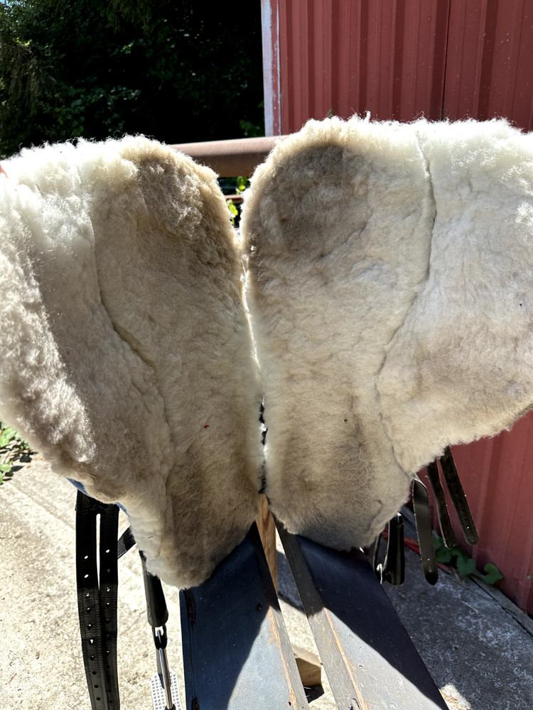 Evolutionary Saddle - The Minimalist Endurance Style Saddle 15"