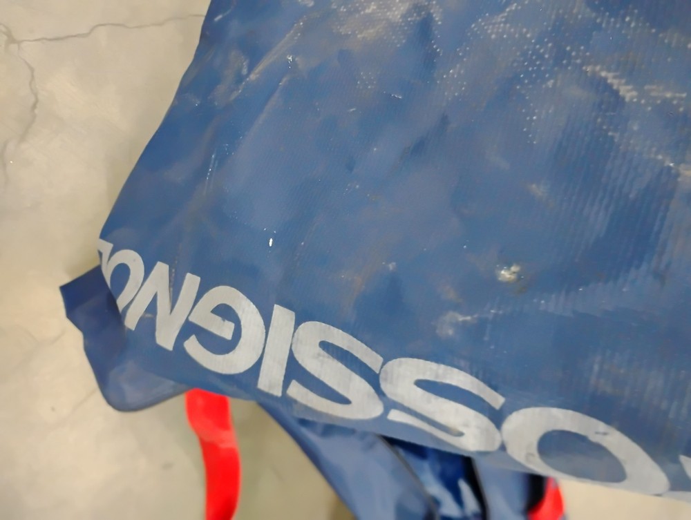 Rossignol Ski Bag Blue with Red Trim 86" long