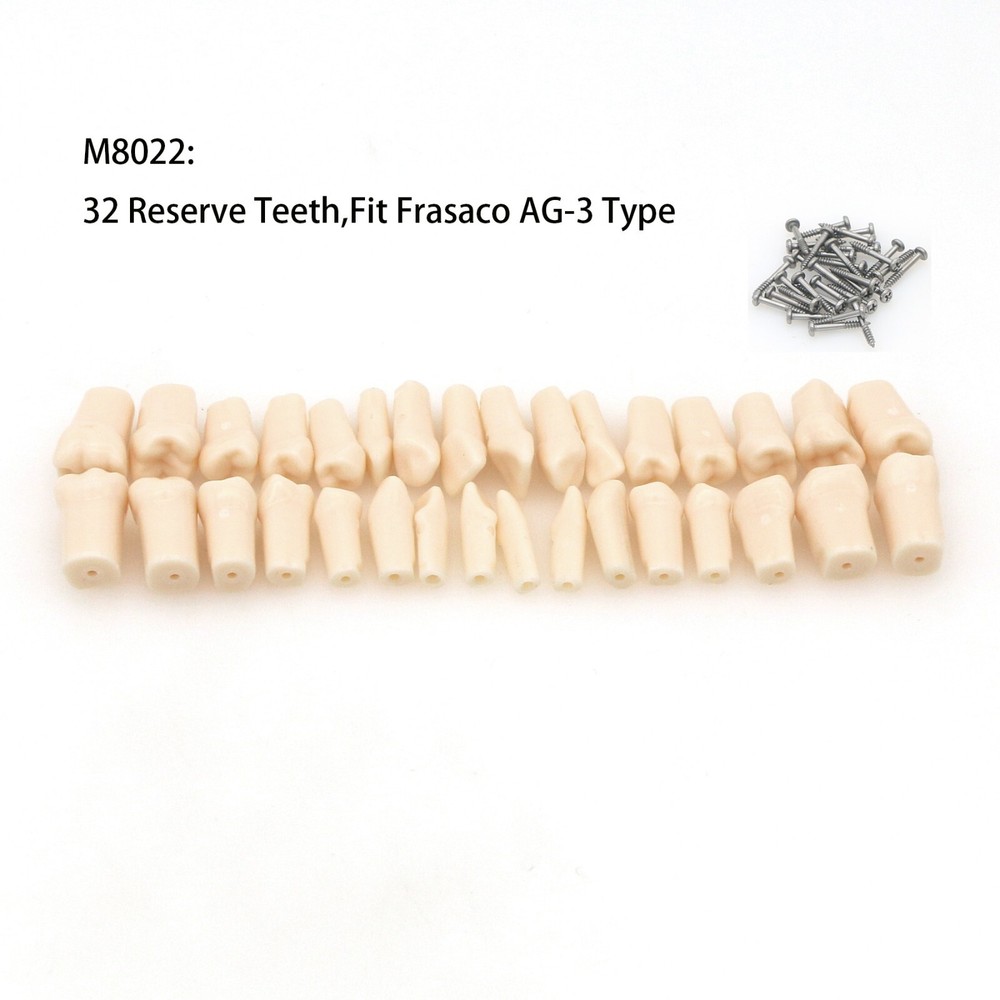 AG3 Type Dental Typodont Replacement 32PCS Screw-in Teeth Model Frasaco M8022