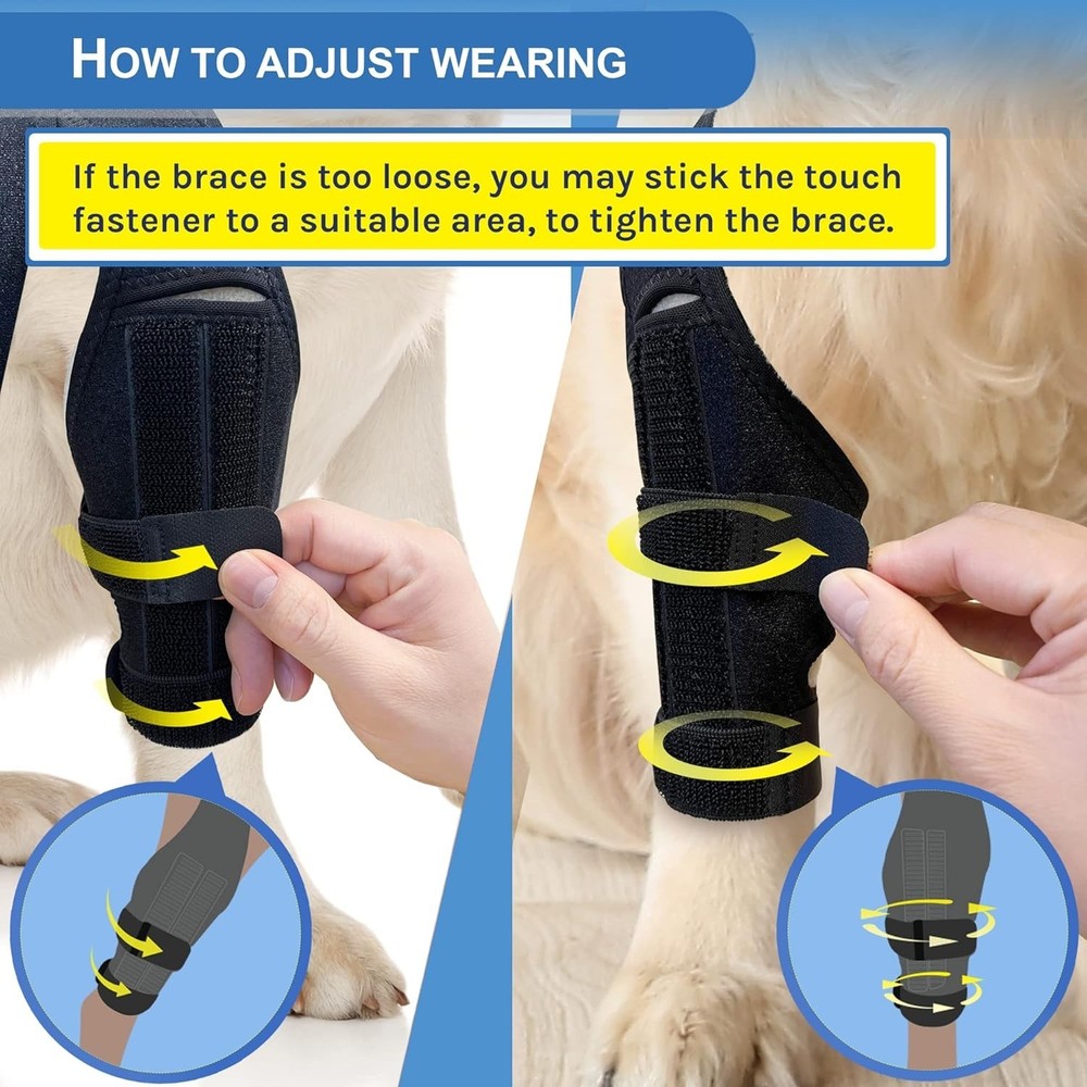 Dog Knee Brace for Torn ACL/CCL Adjustable Support, Front Back Right Left Large