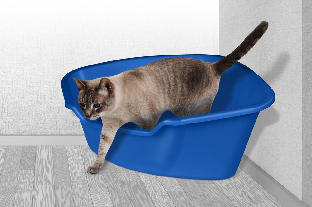 Corner Litter Pan from Van Ness High Sided Design Maximizes Corner Space Usage