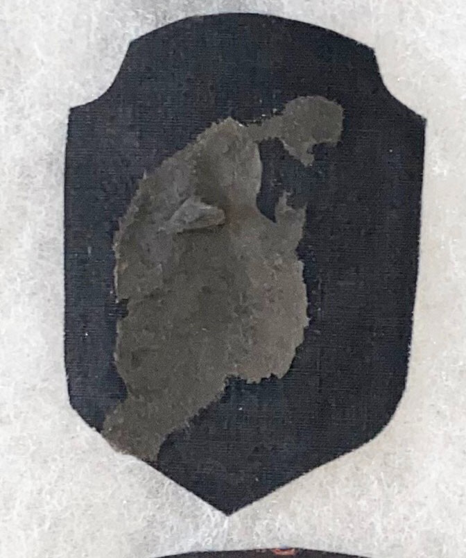 Ukranian Airborne 1st Airmobile Brigade Patch