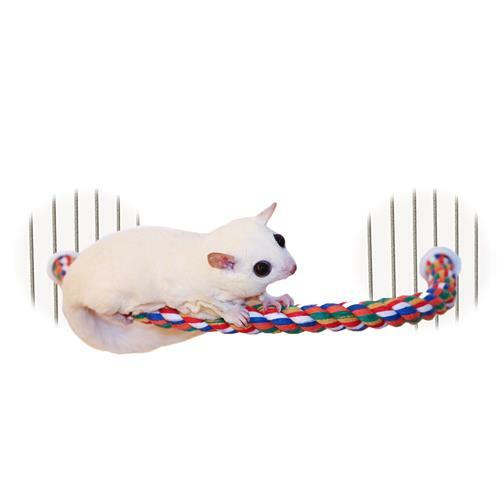 Rainbow Accessory Bundle - Toys / Cage Accessory - Sugar Glider, Squirrel, Degu