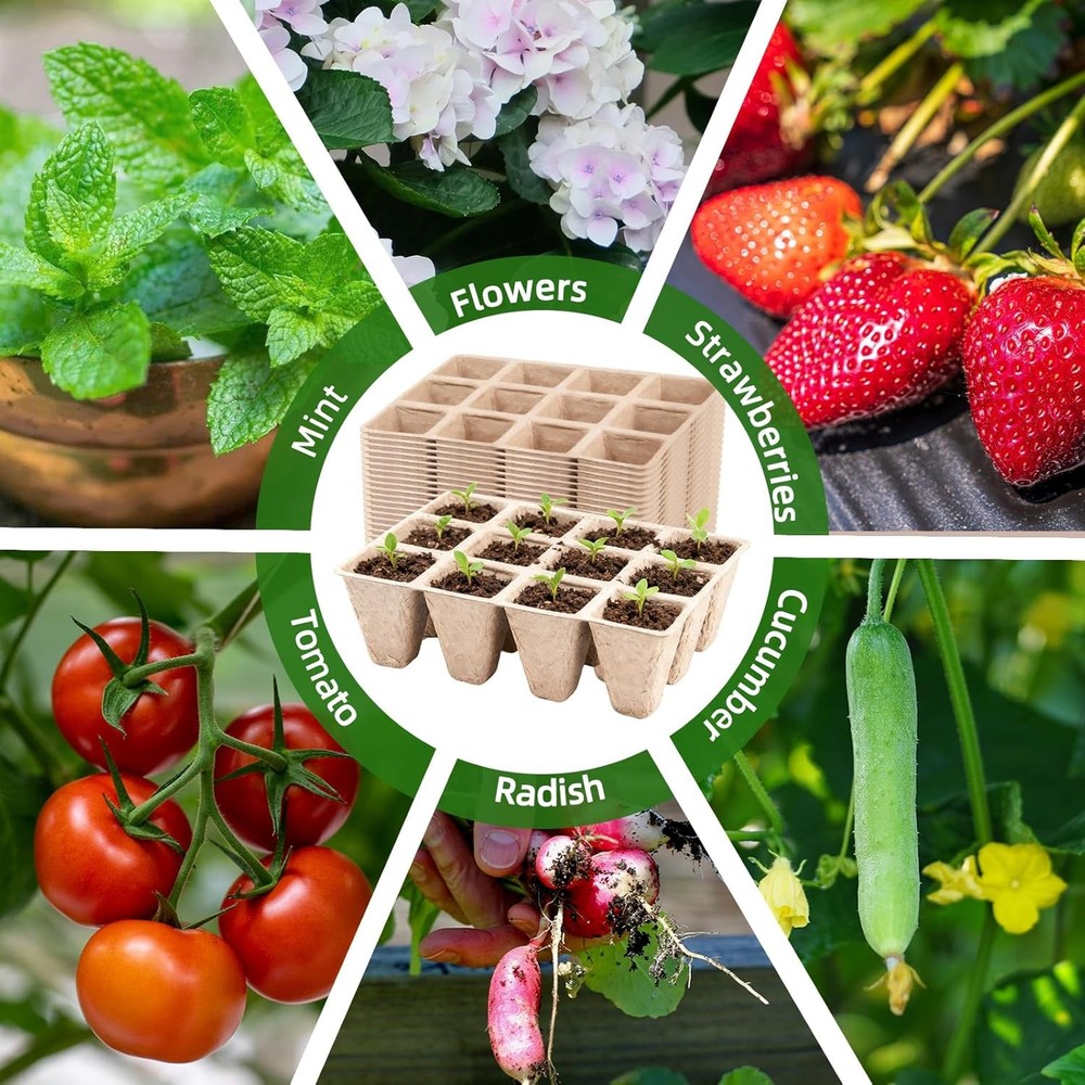 Seed Starter Tray,240 Cell Biodegradable Peat Pots Seed Starter Kit,Organic Germ