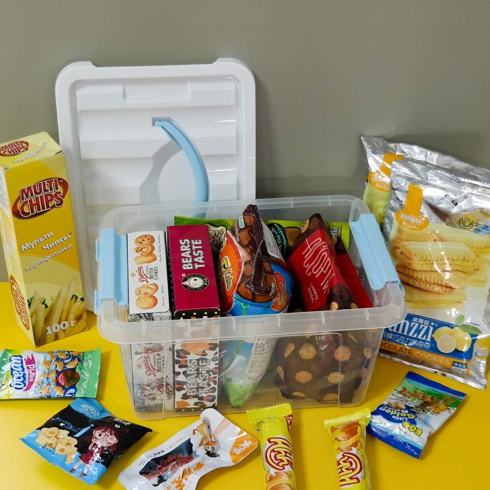 6 Quart Clear Storage Bins with Lid and Blue Handle, Multipurpose Plastic Sto...