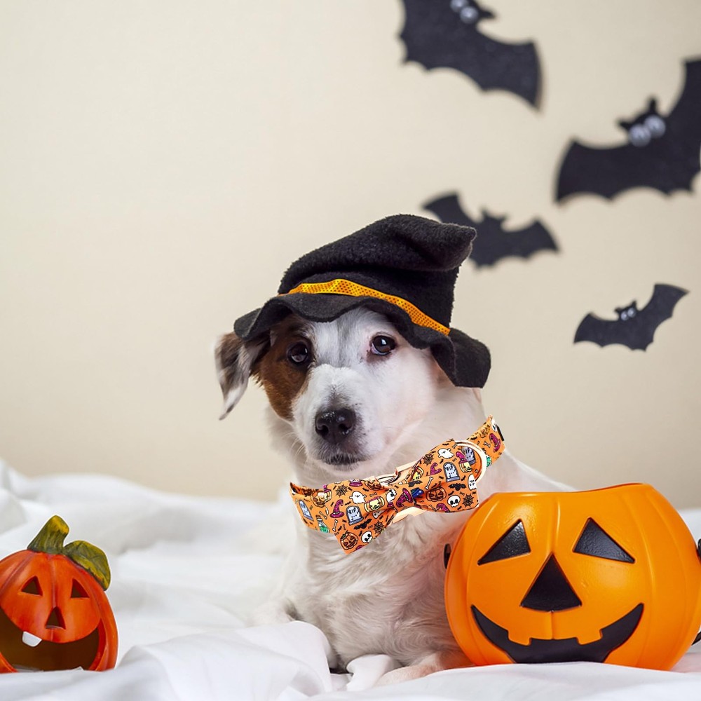 Fall Dog Collar, Pumpkin Holiday, Halloween Bow, Durable, Adjustable, Small