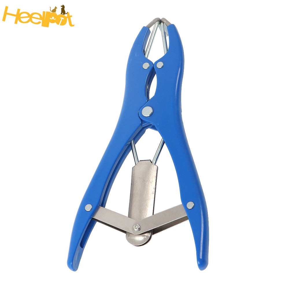 Sheep Bander Docking Elastrator Castration Applicator ＋100 Pack Marking Ring