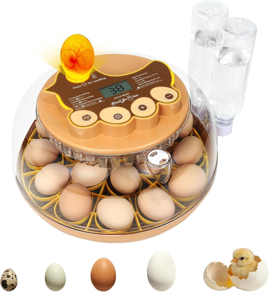 Smart 18-Egg Incubator for Hobbyists — Adjustable Auto Egg Turn with Auto Stop b