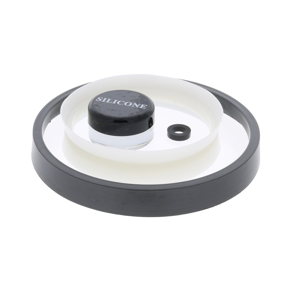 Dema Lip Seal Kit for 569PVDF MixRite