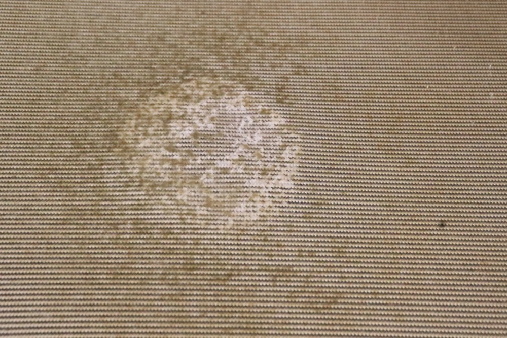 Evans 14" Hybrid Marching Drum Head