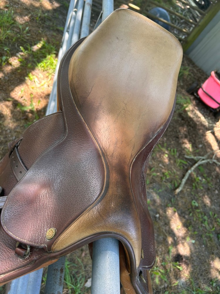 All Purpose English Saddle