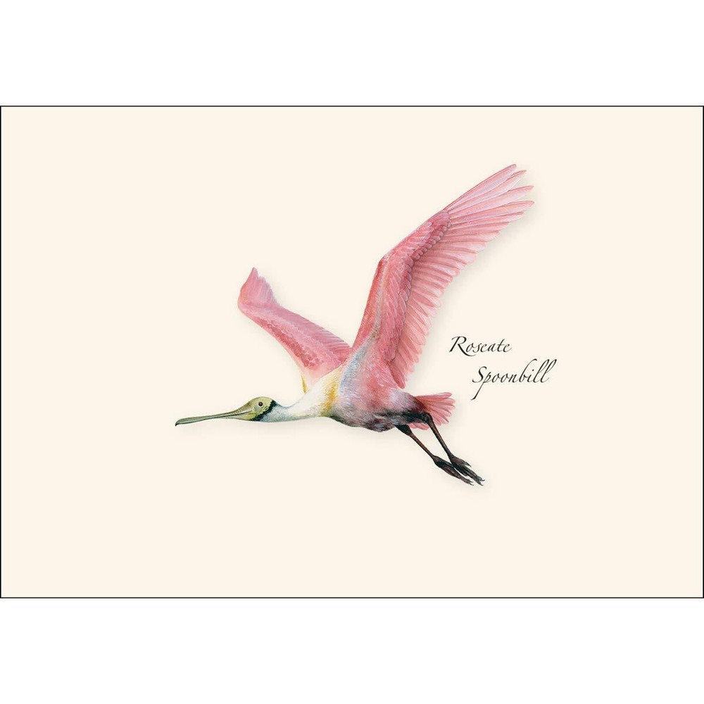 Roseate Spoonbill Notecard Set Blank Cards with Envelopes 8 Pack