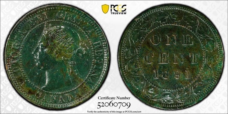 1891 Canada Large Cent • LL LD • Genuine XF Details (Alt. Surface) • Gold Shield
